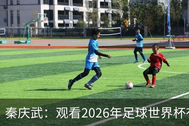 秦庆武：观看2026年足球世界杯有感